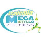 Academia Mega Styllo Fitness - logo