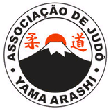 Academia Yama Arashi - logo