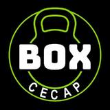 Box Cecap - logo