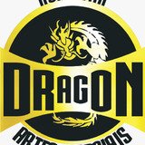 Centro De Treinamento Dragon - logo