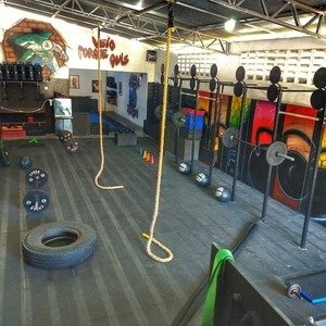 fitness dk platin fitness dk platin