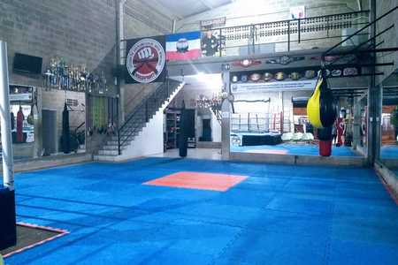 Centro de Treinamento Mult Fight - Portinho