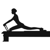 Pilates E Fisioterapia - logo