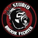 Studio Brook Fighter - logo