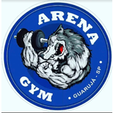 Arena Gym Vila Zilda - logo