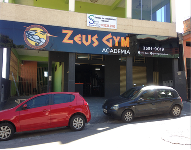 Zeus Gym Academia