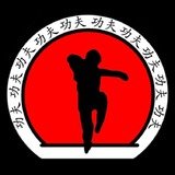 Associação Dragões Do Sul Kung Fu Centro - logo
