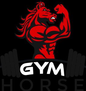 Academia Gym Horse