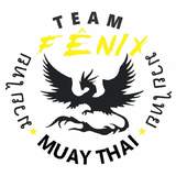 Centro De Treinamento Fênix Team - logo