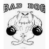Bad Dog - logo