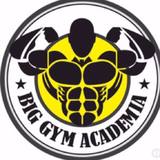 Big Gym Academia - logo
