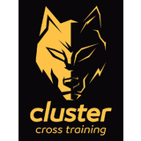 Cluster Cross - logo