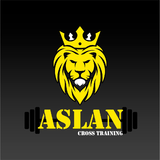 Aslan Cross - logo