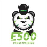E 500 Ct - logo