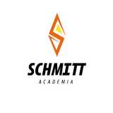 Schmitt Academia - logo