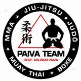 Academia Paiva Team - logo