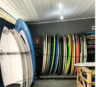 Surf's Up Club Delphin
