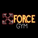 Force Gym Piracicaba - logo