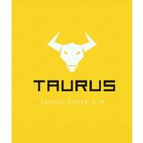 Taurus Power Gym - logo