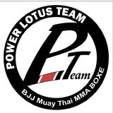 Power Lotus Team - logo