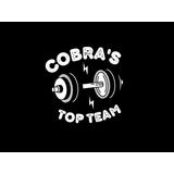 Academia Cobras Top Team - logo