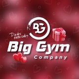 Big Gym Company Unidade 2 - logo