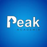 Peak Academia - logo