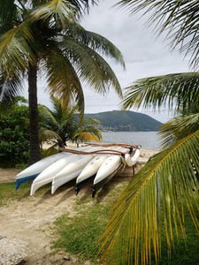 Haka Va'A Clube De Canoa Polinésia