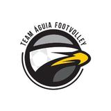 Team Águia Footvolley Barra - logo