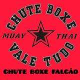 Academia Chute Boxe Falcão - logo