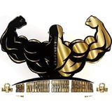 Pro Evolution Fitness Academia - logo
