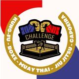 CT Challenge School - logo