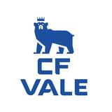 CF Vale - logo