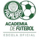 Academia de Futebol do Palmeiras Jundiaí - logo