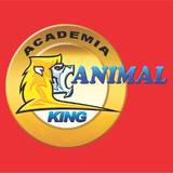 Academia Animal King Tomás Coelho - logo