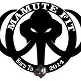 Academia Mamute Fit - logo