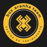Box Aranha Team - logo