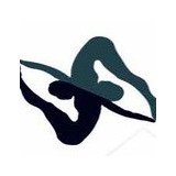 Phisio Life Pilates E Fisioterapia - logo
