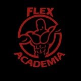 Flex Academia Parque Das Bandeiras - logo