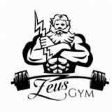 Academia Zeus - logo