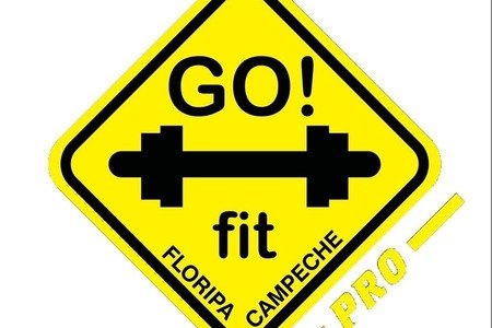GO!fit PRO