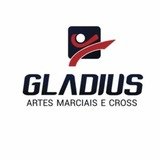 Academia Gladius - logo