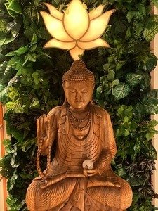 Buddha Spa - Anália Franco