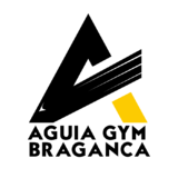 Águia Gym Bragança - logo