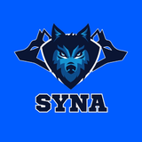 CF Syna - Box de Cross - Centro Funcional - logo