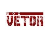 Box VETOR - logo