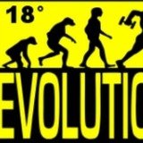 Academia Evolution - logo