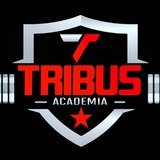 Tribus Academia - logo