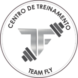 Centro De Treinamento Team Fly - logo