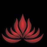Flor de Lotus Moema - logo